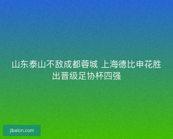 山东泰山不敌成都蓉城 上海德比申花胜出晋级足协杯四强