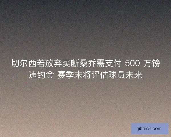 切尔西若放弃买断桑乔需支付 500 万镑违约金 赛季末将评估球员未来
